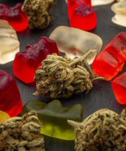 PAIN MANAGEMENT GUMMIES